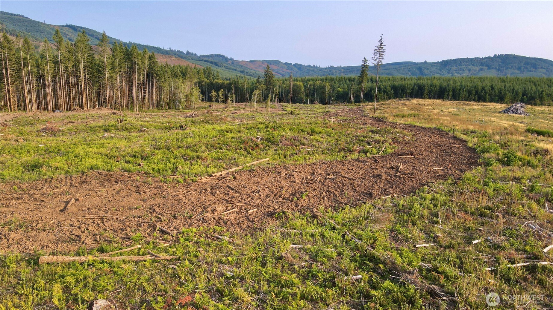 3725 Little Kalama River Road #E, Woodland, WA 98674