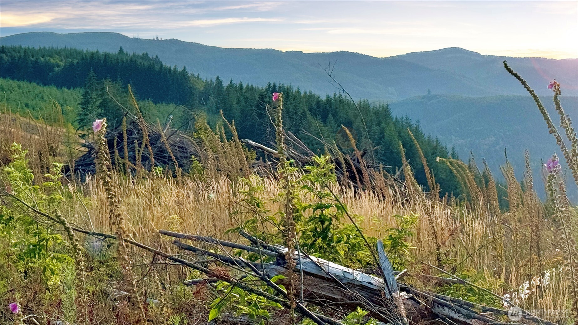 3725 Little Kalama River Road #E, Woodland, WA 98674