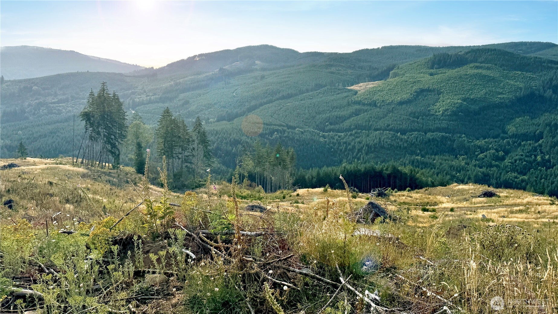 3725 Little Kalama River Road #E, Woodland, WA 98674