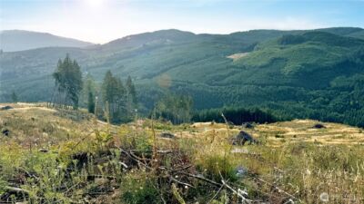 3725 Little Kalama River Road #E, Woodland, WA 98674 - Photo 9
