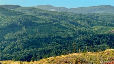 3725 Little Kalama River Road #E, Woodland, WA 98674 - Photo 10