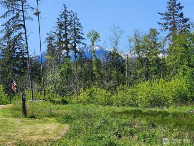 9999 Bravo, Lot 2 Road , Port Angeles, WA 98362