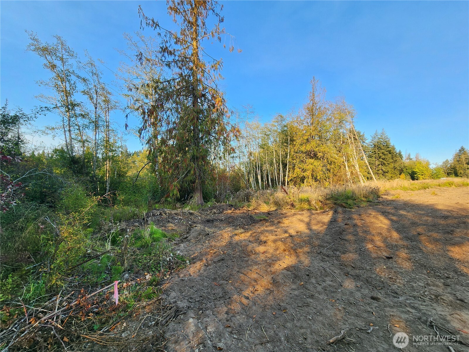 9999 Bravo, Lot 2 Road , Port Angeles, WA 98362
