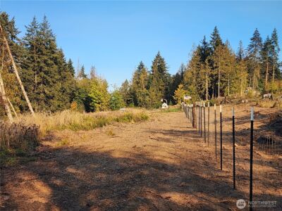 9999 Bravo, Lot 2 Road , Port Angeles, WA 98362 - Photo 12