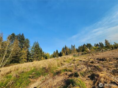 9999 Bravo, Lot 2 Road , Port Angeles, WA 98362 - Photo 13
