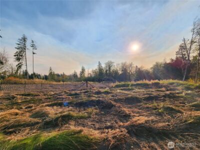9999 Bravo, Lot 2 Road , Port Angeles, WA 98362 - Photo 14
