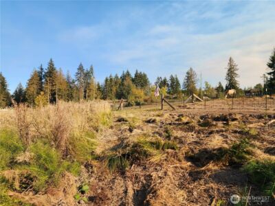 9999 Bravo, Lot 2 Road , Port Angeles, WA 98362 - Photo 15