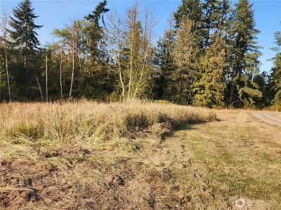 9999 Bravo, Lot 2 Road , Port Angeles, WA 98362 - Photo 16
