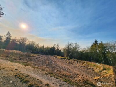 9999 Bravo, Lot 2 Road , Port Angeles, WA 98362 - Photo 5