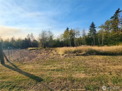 9999 Bravo, Lot 2 Road , Port Angeles, WA 98362 - Photo 6