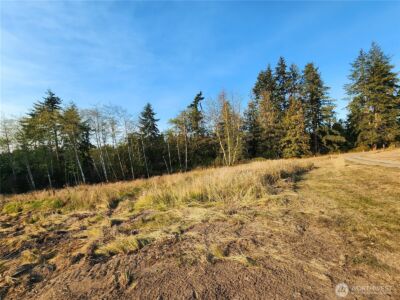9999 Bravo, Lot 2 Road , Port Angeles, WA 98362 - Photo 10