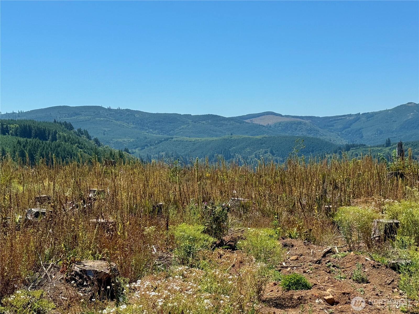 3700 Little Kalama River Road #6, Woodland, WA 98674