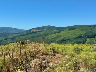 3700 Little Kalama River Road #6, Woodland, WA 98674 - Photo 11
