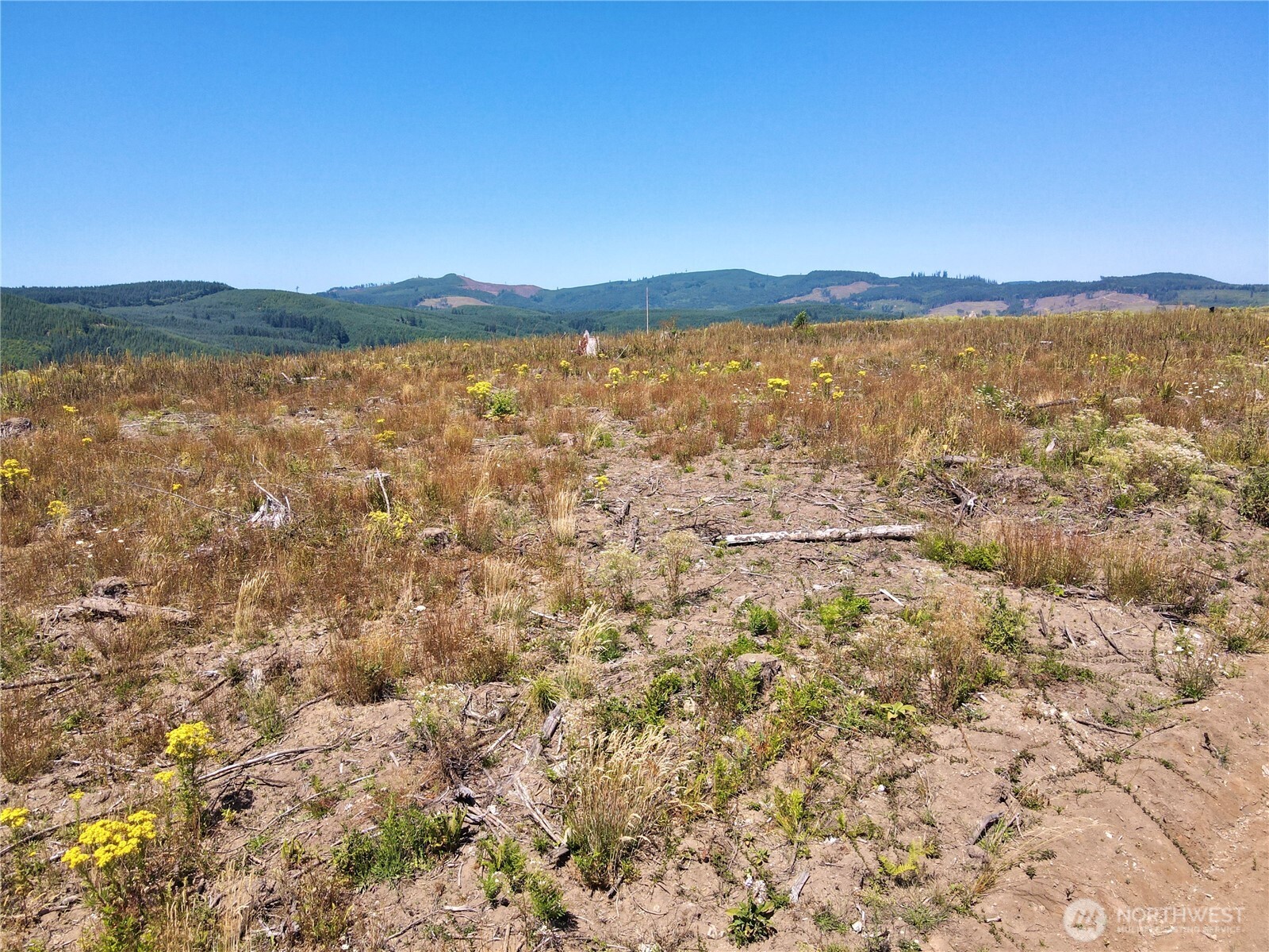 3700 Little Kalama River Road #6, Woodland, WA 98674