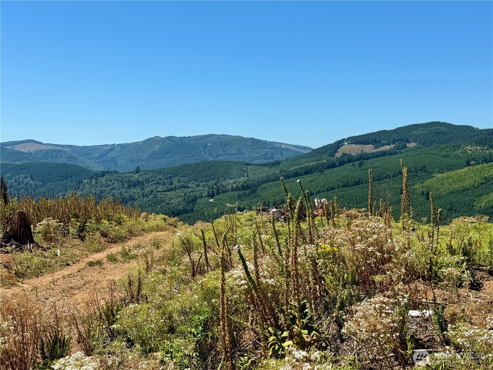 3700 Little Kalama River Road #6, Woodland, WA 98674