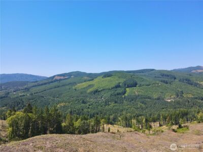 3700 Little Kalama River Road #6, Woodland, WA 98674 - Photo 19
