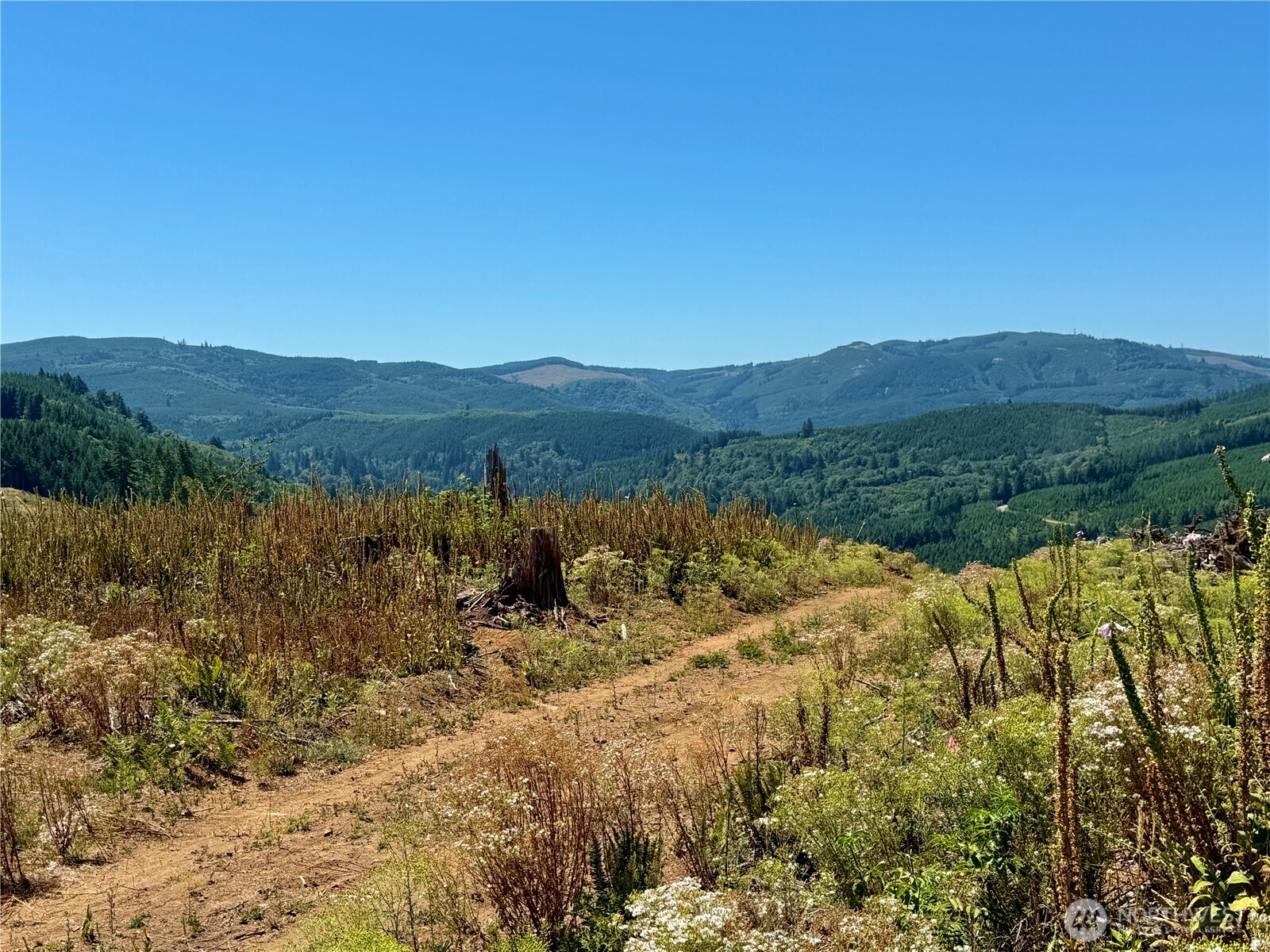 3700 Little Kalama River Road #6, Woodland, WA 98674