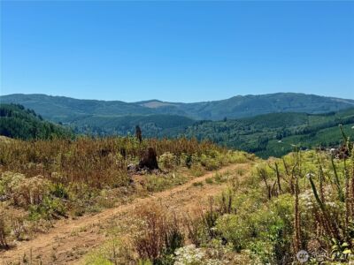 3700 Little Kalama River Road #6, Woodland, WA 98674 - Photo 20