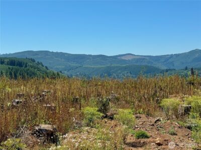 3700 Little Kalama River Road #6, Woodland, WA 98674 - Photo 2