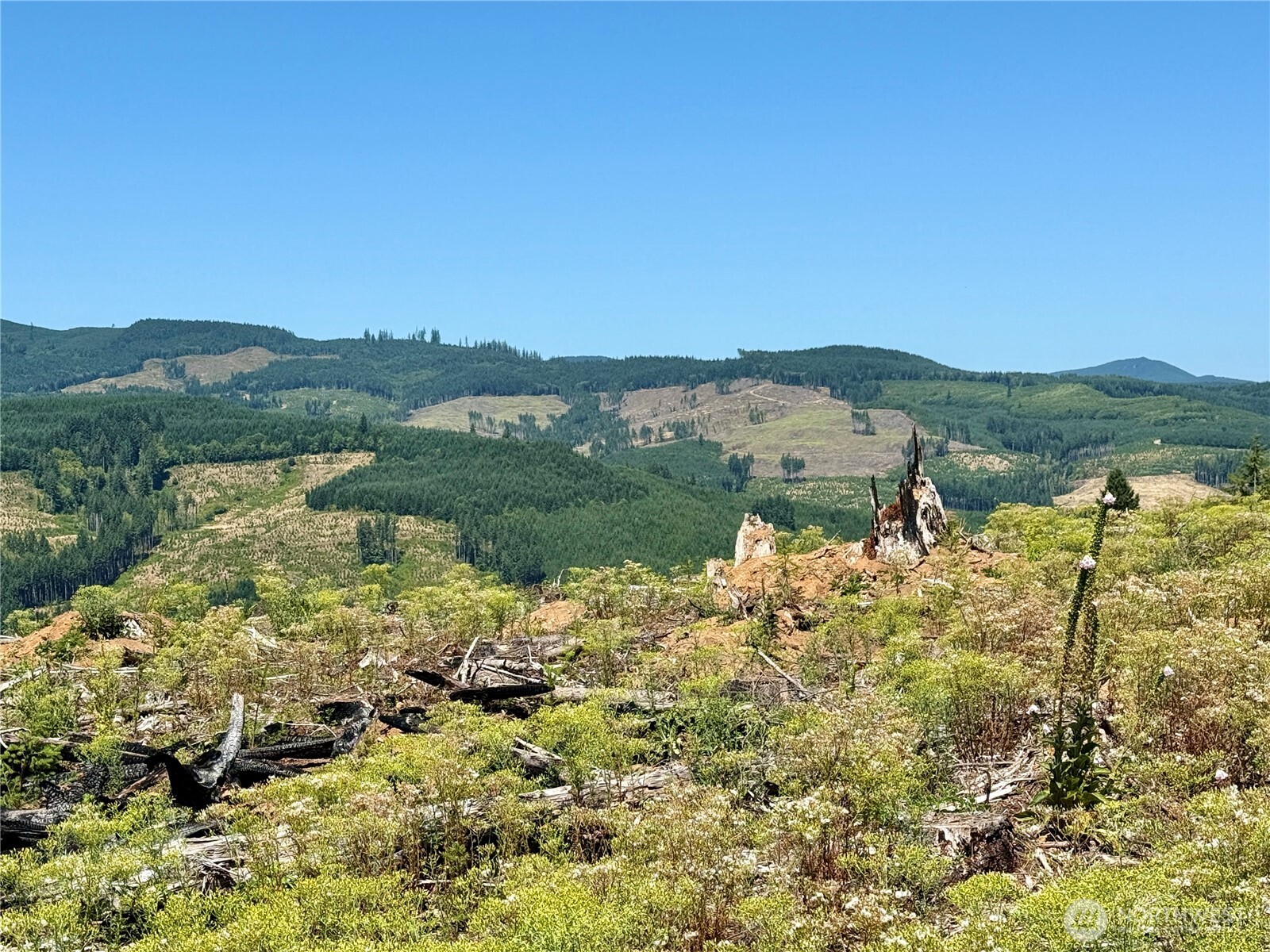 3700 Little Kalama River Road #6, Woodland, WA 98674