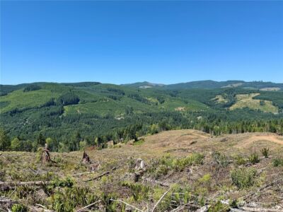 3700 Little Kalama River Road #6, Woodland, WA 98674 - Photo 24