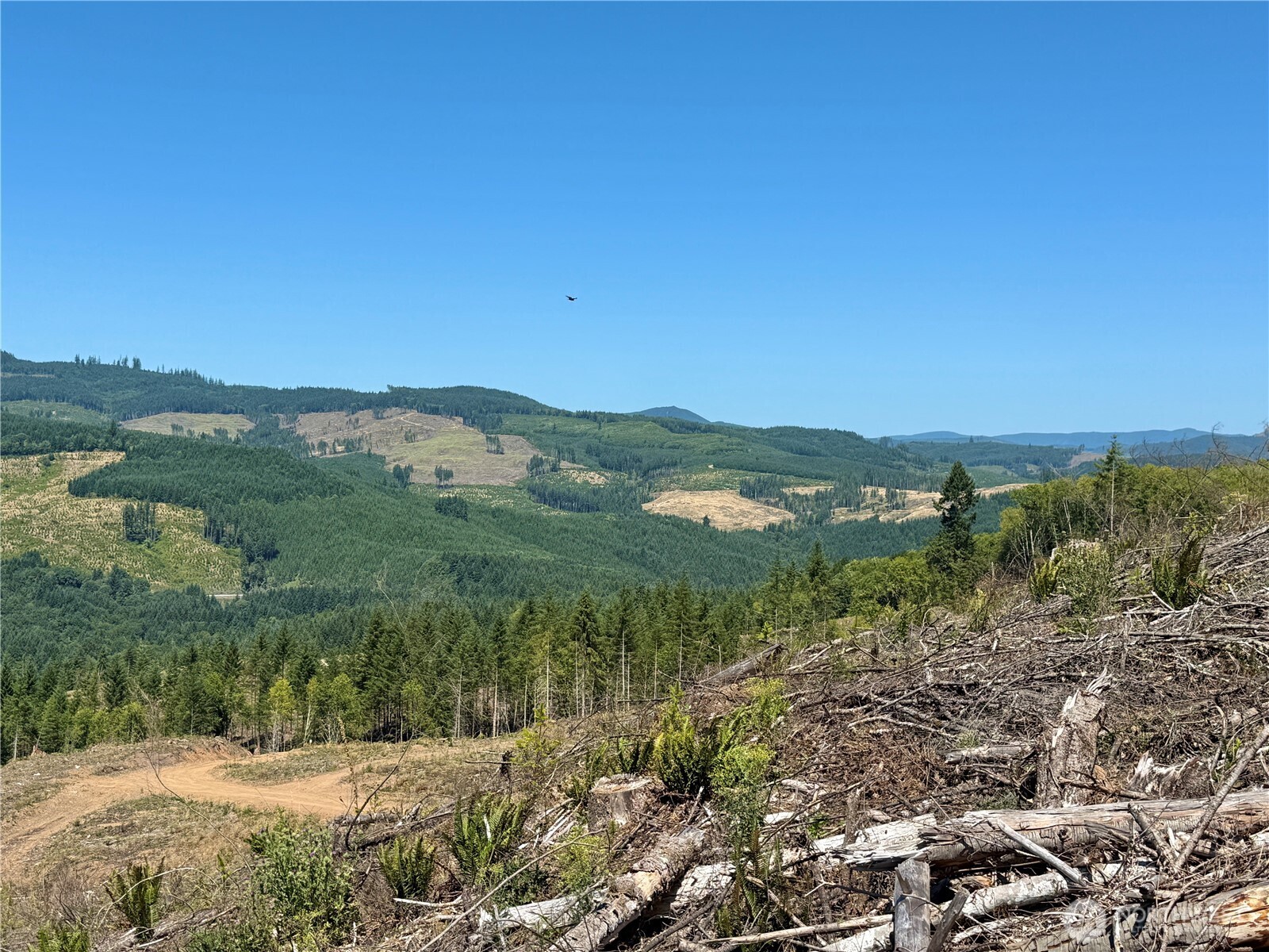 3700 Little Kalama River Road #6, Woodland, WA 98674