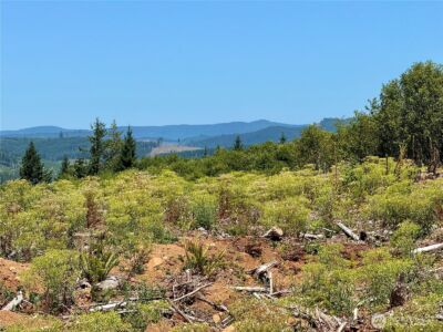 3700 Little Kalama River Road #6, Woodland, WA 98674 - Photo 4