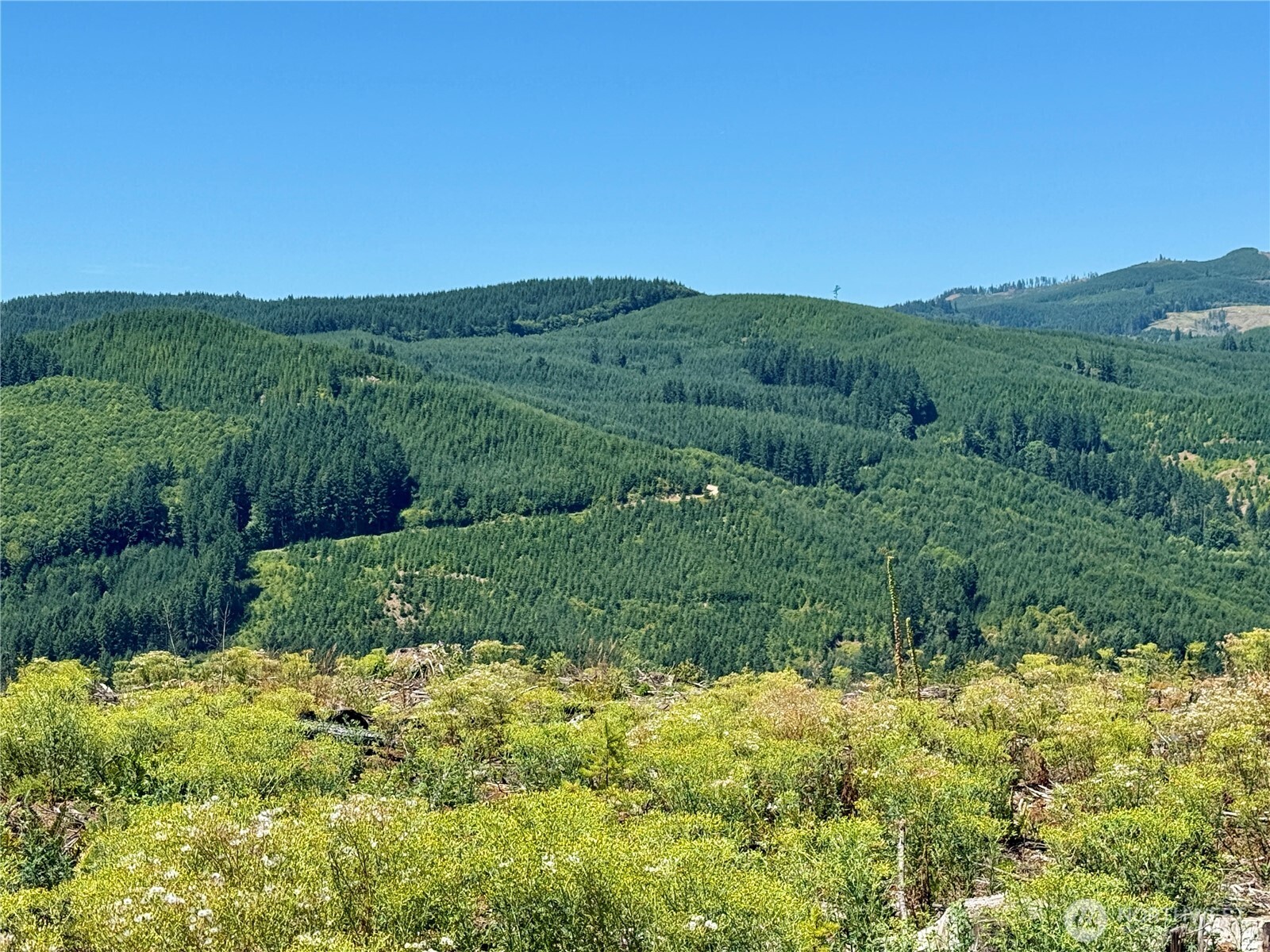 3700 Little Kalama River Road #6, Woodland, WA 98674