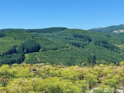3700 Little Kalama River Road #6, Woodland, WA 98674 - Photo 8