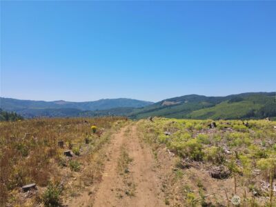 3700 Little Kalama River Road #6, Woodland, WA 98674 - Photo 10