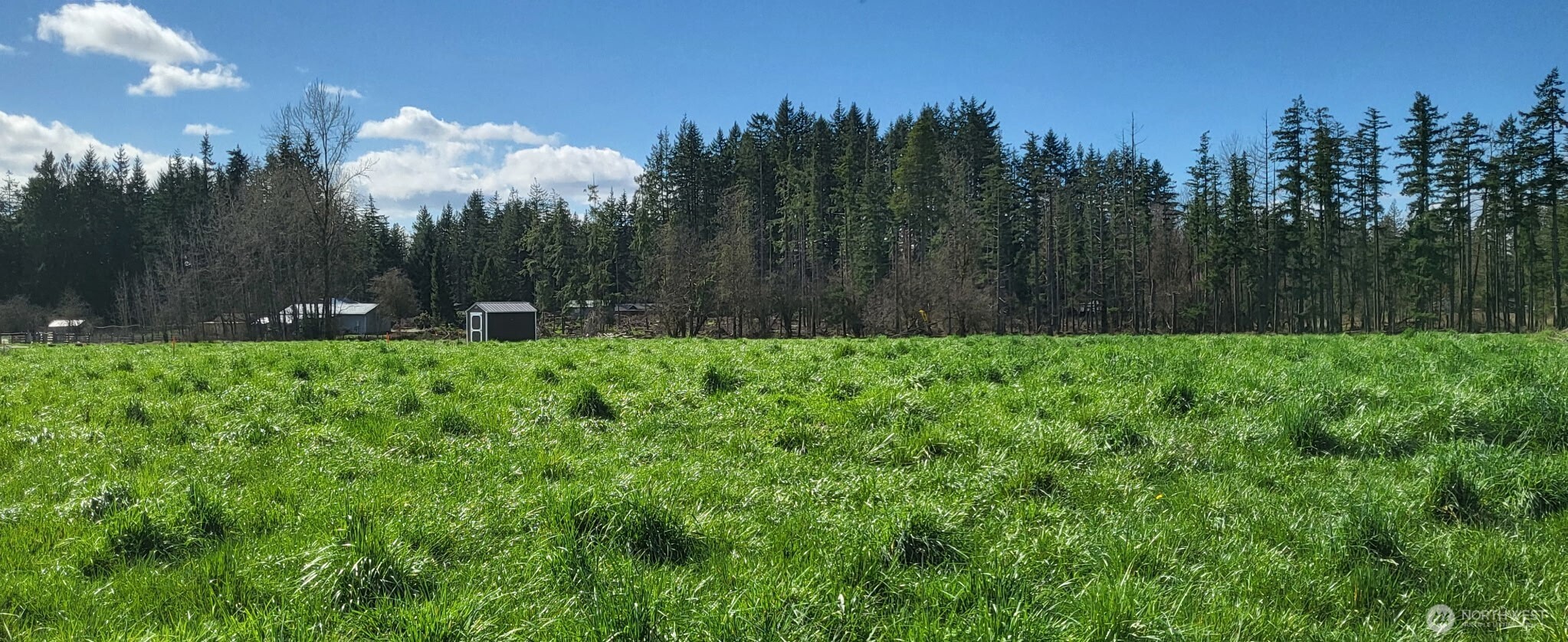 444 Meier Road , Winlock, WA 98596