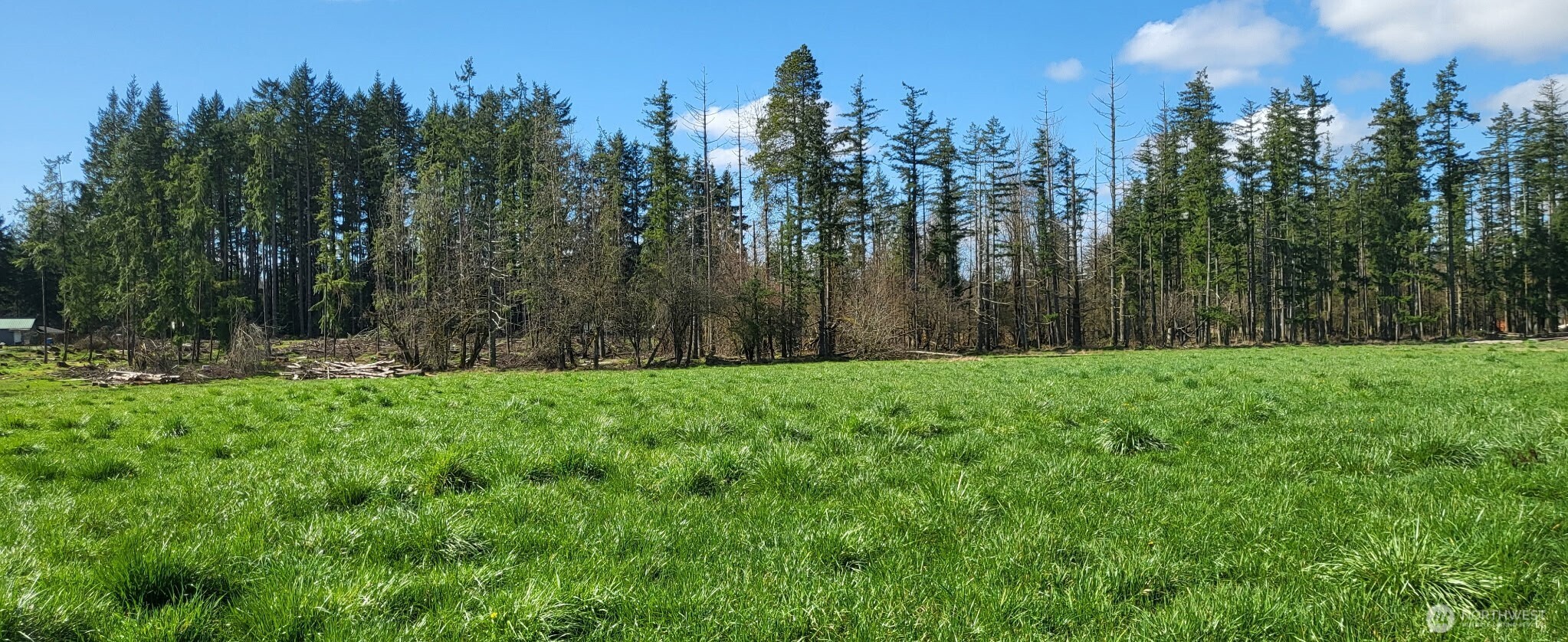 444 Meier Road , Winlock, WA 98596