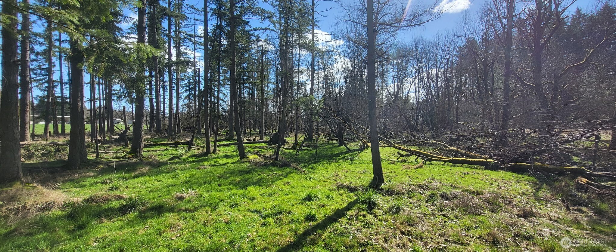 444 Meier Road , Winlock, WA 98596