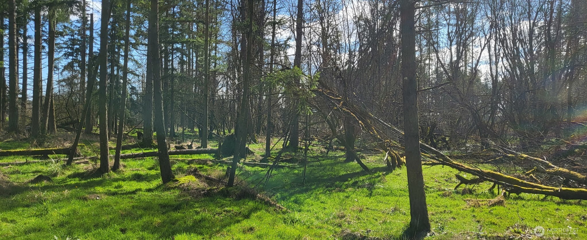 444 Meier Road , Winlock, WA 98596