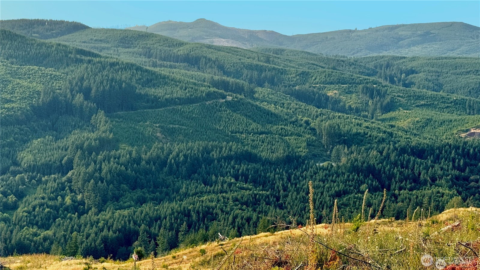3727 Little Kalama River Road #H, Woodland, WA 98674