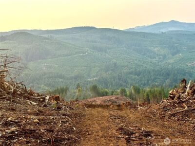 3727 Little Kalama River Road #H, Woodland, WA 98674 - Photo 20