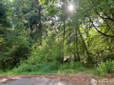 10419 107th Street Ct , Anderson Island, WA 98303 - Photo 2