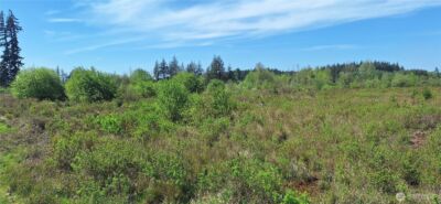 123 Meier Road , Winlock, WA 98596 - Photo 1