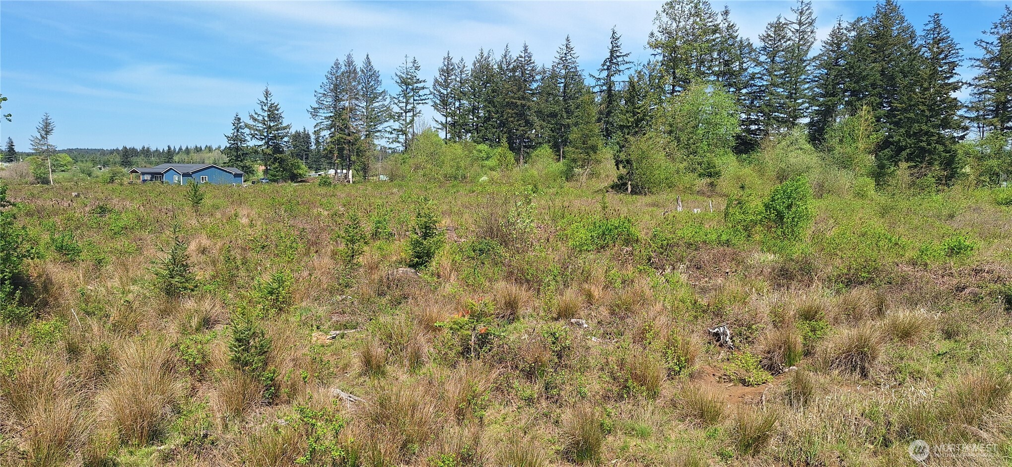 123 Meier Road , Winlock, WA 98596