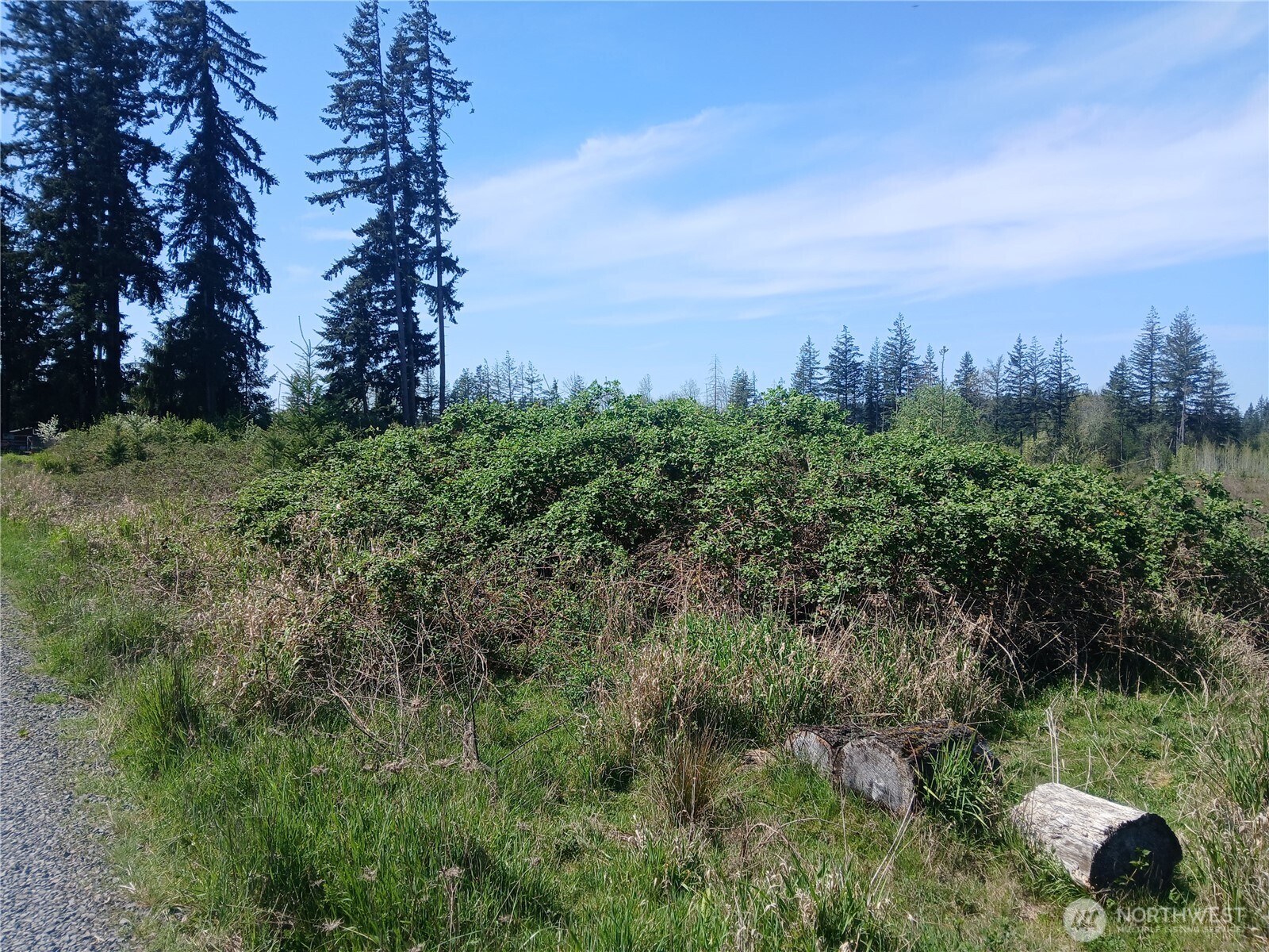 123 Meier Road , Winlock, WA 98596