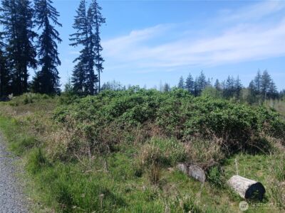 123 Meier Road , Winlock, WA 98596 - Photo 11
