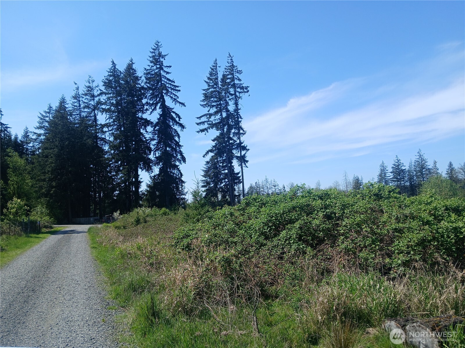 123 Meier Road , Winlock, WA 98596