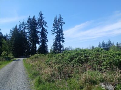 123 Meier Road , Winlock, WA 98596 - Photo 12