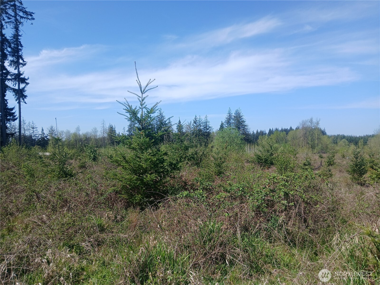 123 Meier Road , Winlock, WA 98596