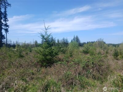 123 Meier Road , Winlock, WA 98596 - Photo 13