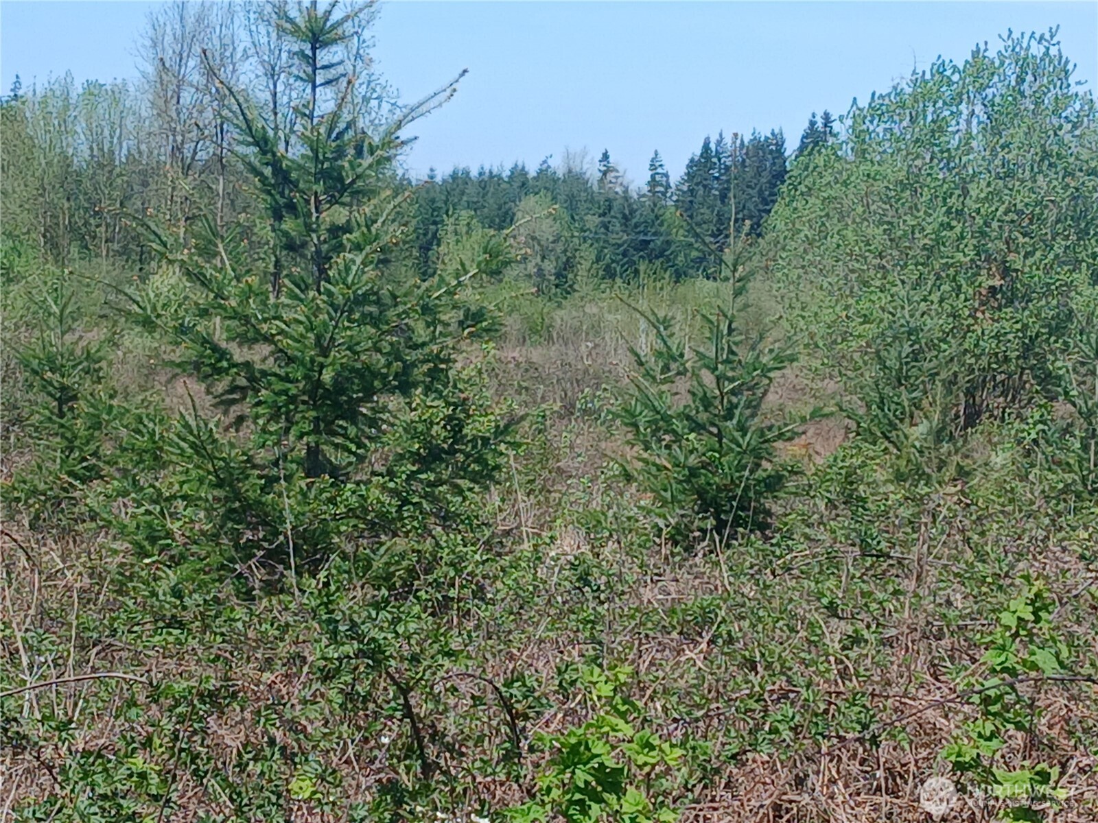 123 Meier Road , Winlock, WA 98596