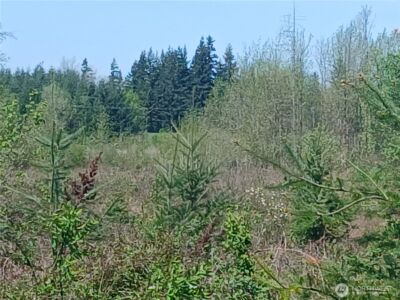 123 Meier Road , Winlock, WA 98596 - Photo 16