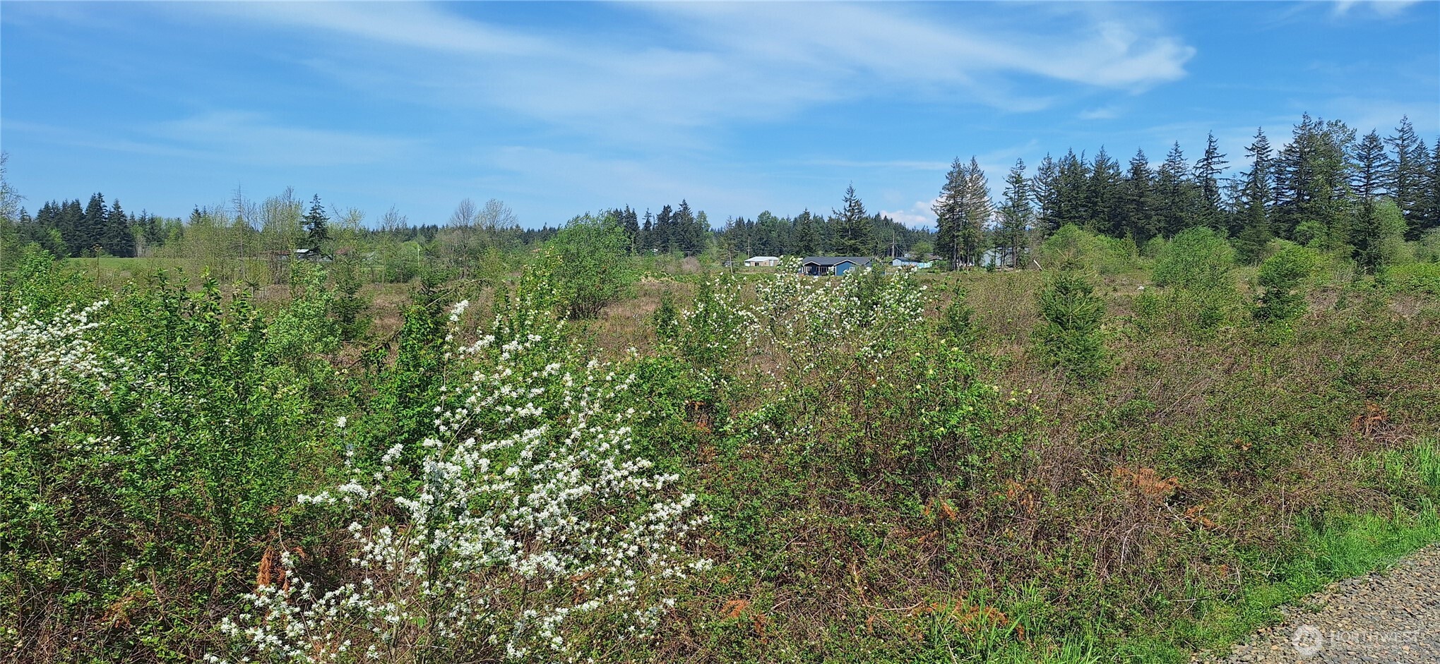 123 Meier Road , Winlock, WA 98596