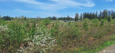 123 Meier Road , Winlock, WA 98596 - Photo 17
