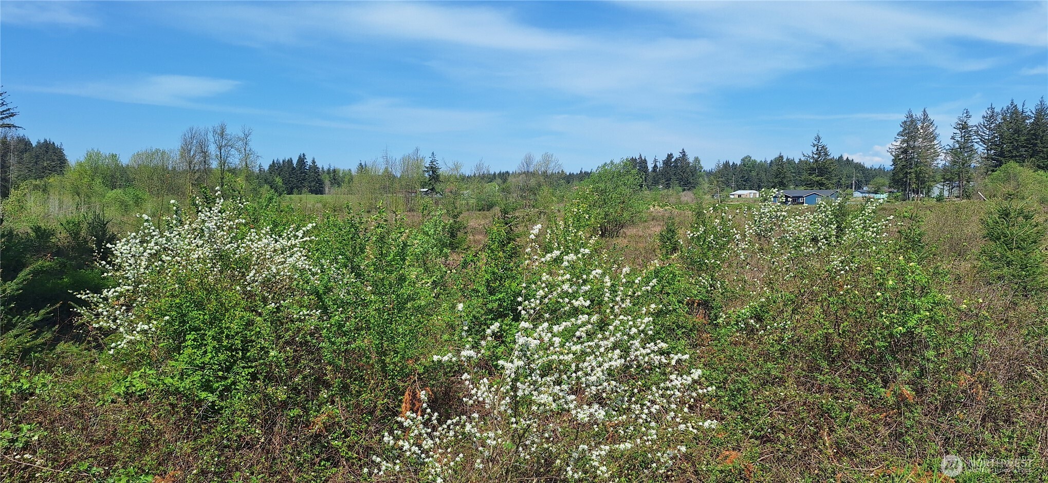 123 Meier Road , Winlock, WA 98596